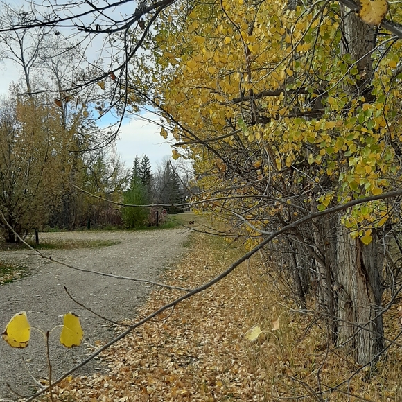 Meet your Posher, Charlotte - Picture 1 of 1